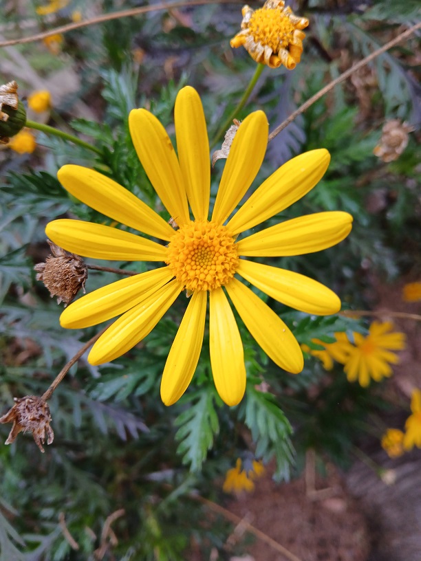 No s'ha trobat l'arxiu